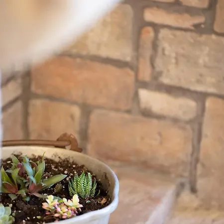 Domus Clodia, Sensing Rethymno's Old Town! Rethymno