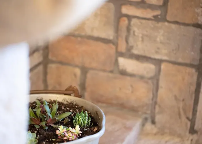 Domus Clodia, Sensing Rethymno's Old Town! Rétino